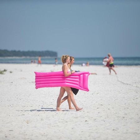 Dueodde Strand Camping Экстерьер фото